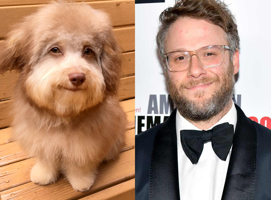 Seth Rogen Is Being Compared To A Dog And He Couldn T Be More